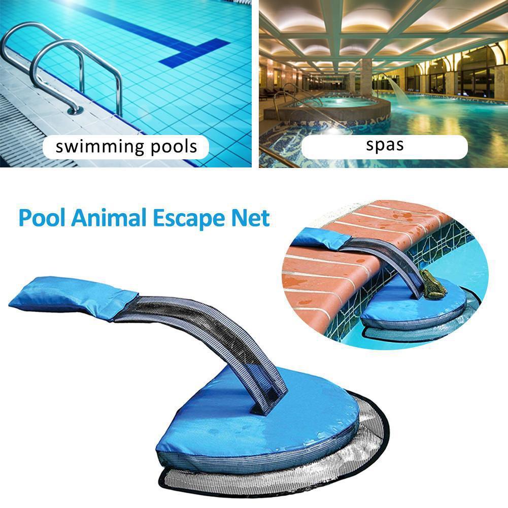 Swimming Pool Small Animal Rescue Escape