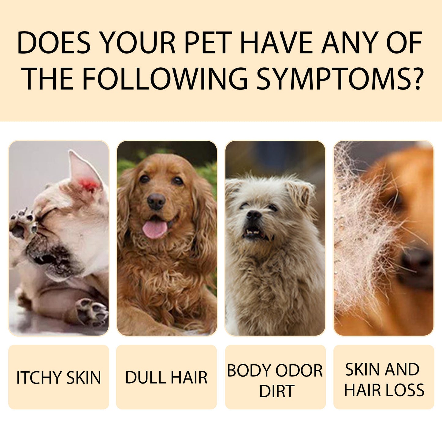 Mild And Clean Pet Shampoo